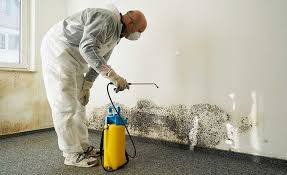 Rolling Meadows, IL Mold Inspection Company